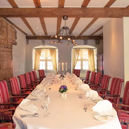 Mercure Altstadt 호텔